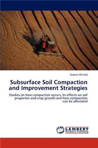 Subsurface Soil Compaction and Improvement Strategies
