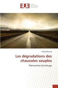 Les dégradations des chaussées souples