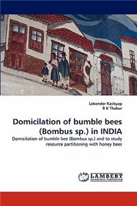 Domicilation of bumble bees (Bombus sp.) in INDIA