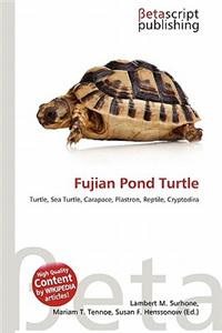 Fujian Pond Turtle
