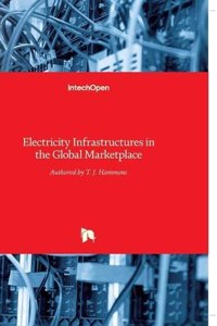 Electricity Infrastructures in the Global Marketplace