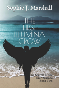 First Illumina Crow