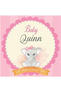 Baby Quinn A Simple Book of Firsts
