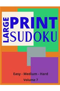 Large Print Sudoku Volume 7