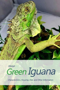 About Green Iguana