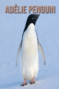 Adélie Penguin: Children's Books --- Incredible Pictures and Fun Facts about Adélie Penguin