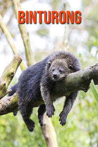 Binturong