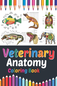 Veterinary Anatomy Coloring Book