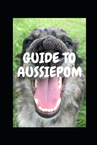 Guide to Aussiepom