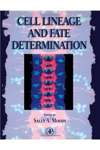 Cell Lineage and Fate Determination