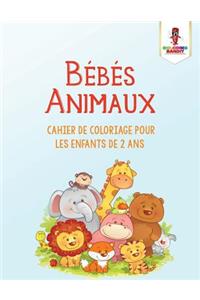 Bébés Animaux