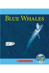 Blue Whales