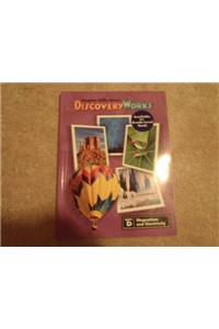 Houghton Mifflin Discovery Works