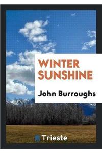 Winter Sunshine