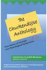 Churkendoose Anthology: True Stories of Triumph Over Neurological Dysfunction