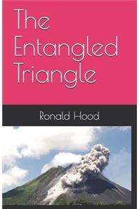 Entangled Triangle