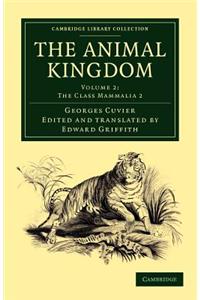 The Animal Kingdom