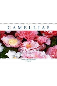 Camellias 2018