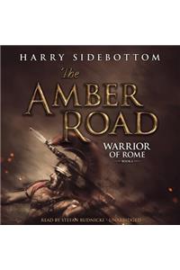 Amber Road