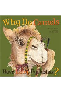 Why Do Camels Have Long Eyelashes?