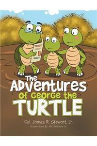 Adventures of George the Turtle