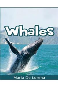 Whales