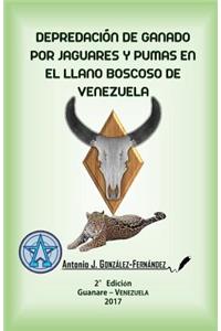 Depredación de ganado por jaguares y pumas en el Llano boscoso de Venezuela