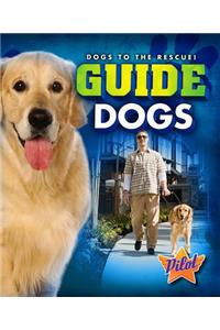 Guide Dogs