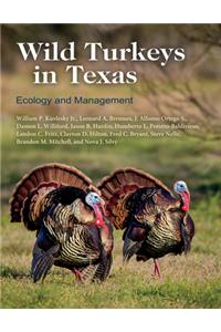 Wild Turkeys in Texas