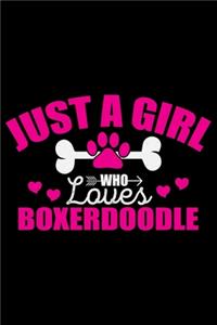 Just A Girl Who Loves Boxerdoodle