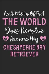 As A Matter Of Fact The World Does Revolve Around My Chesapeake Bay Retriever