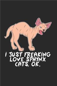 Sphynx Katze Notizbuch