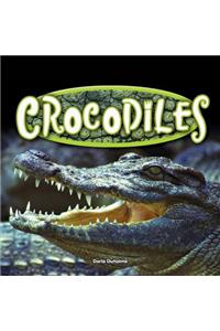 Crocodiles