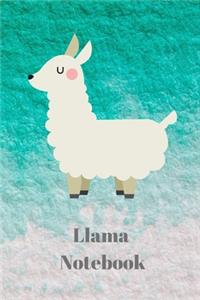 llama notebook