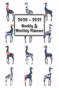 2020 - 2021 Weekly & Monthly Planner