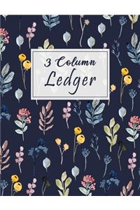 3 Column Ledger