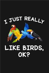 I Just Really Like Birds Ok