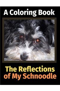 Reflections of My Schnoodle