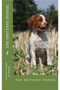 brittany spaniel