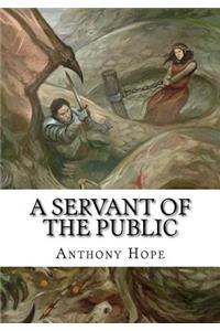 A Servant of the Public