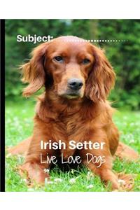 Irish Setter- Live Love Dogs!