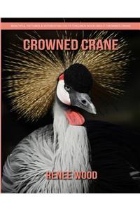 Crowned Crane