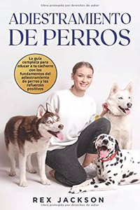 Adiestramiento De Perros