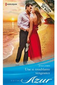 Une Si Troublante Vengeance