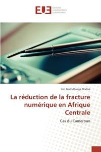 Réduction de la Fracture Numérique En Afrique Centrale