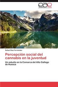 Percepción social del cannabis en la juventud