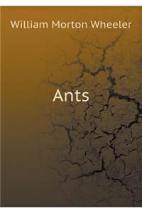 Ants