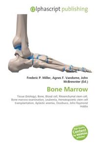 Bone Marrow