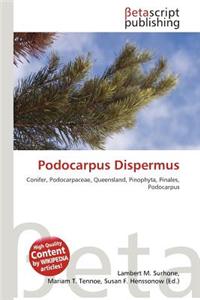 Podocarpus Dispermus