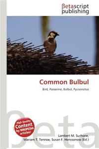 Common Bulbul